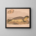 Zeehond van de Noordzee Phoca vitulina - Louis Prang Co — ingelijst kunstwerk aan de muur