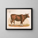 Koe - Louis Prang Co — ingelijst kunstwerk aan de muur