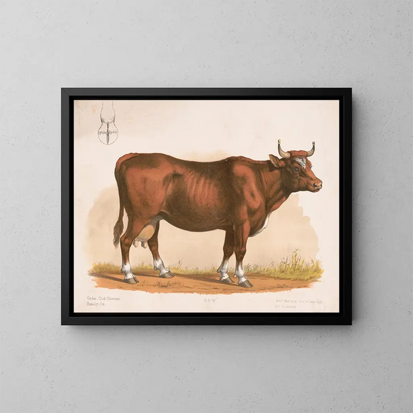 Koe - Louis Prang Co — ingelijst kunstwerk aan de muur