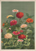 Bloemen - Louis Prang Co — weergave van het kunstwerk