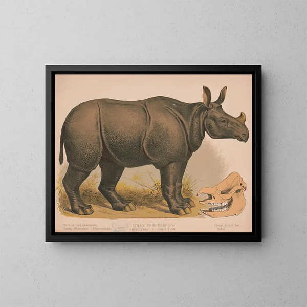 Neushoorn Indiaas - Louis Prang Co — ingelijst kunstwerk aan de muur