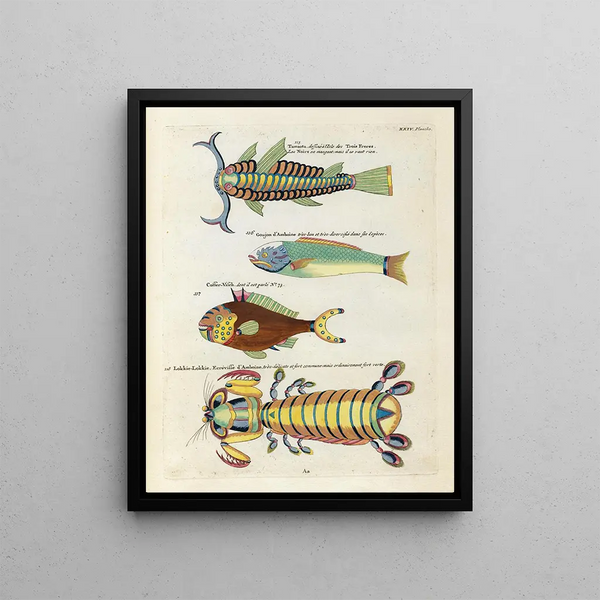Louis Renard - Poissons ecrevisses et crabes de diverses couleurs et figures extraordinaires Pl067.webp