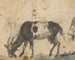 Study of goats - Lucas Cranach the Elder — artwork view