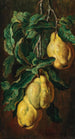 Coings - Ludwig Adam Kunz — weergave van het kunstwerk