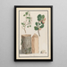Studiën van de stam, bloemen en vruchten van een wilde appelboom Malus sylvestris - Ludwig Pfleger — ingelijst kunstwerk aan de muur