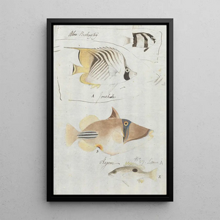 Luigi Balugani - Four Fish.webp