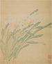 Narcissus Painting - Ma Yuanyu — artwork view