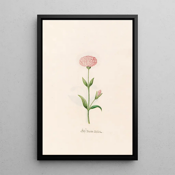 Magdelena Rosina Funck - Gef Marien Rsslein.webp
