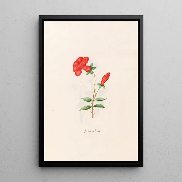 Magdelena Rosina Funck - Granaten Blt.webp