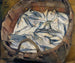 Harings van de Baltische Zee - Magnus Enckell — weergave van het kunstwerk