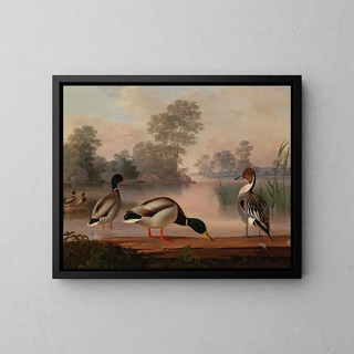 Eenden - Magnus von Wright — ingelijst kunstwerk aan de muur