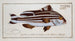 Anthias Diagramma Le Warna - Marcus Elieser Bloch — weergave van het kunstwerk
