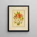 Tulip, daffodil - Marcus Ward & Co. — framed artwork on a wall