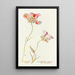 Tulip vlinder - Margaret Armstrong — ingelijst kunstwerk aan de muur