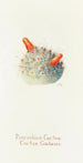 Cactus coussin - Margaret Armstrong — weergave van het kunstwerk