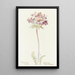 Sage Thistle - Margaret Armstrong — framed artwork on a wall