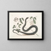Frutex c Anguis c Le Serpent Noir - Mark Catesby — ingelijst kunstwerk aan de muur