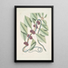 Frutex c Anguis gracilis cruleoviridis De blauwe-groene slang - Mark Catesby — ingelijst kunstwerk aan de muur
