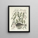 van Poissons, serpents, insectes et quelques autres animaux, ainsi que quelques photos de plantes Pl028 - Mark Catesby — ingelijst kunstwerk aan de muur
