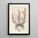 Piscium serpentum insectorum aliorumque nonnullorum animalum nec non plantarum quarundam imagines Pl035 - Mark Catesby — ingelijst kunstwerk aan de muur