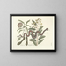 Afbeeldingen van vissen, slangen, insecten en andere dieren evenals van bepaalde planten Pl042 - Mark Catesby — ingelijst kunstwerk aan de muur