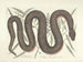 Afbeeldingen van vissen, slangen, insecten en andere dieren evenals bepaalde planten Pl046 - Mark Catesby — weergave van het kunstwerk