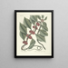 van Poissons, serpents, insectes et quelques autres animaux, ainsi que quelques photos de plantes Pl047 - Mark Catesby — ingelijst kunstwerk aan de muur