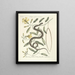 van Poissons, serpents, insectes et quelques autres animaux, ainsi que quelques photos de plantes Pl053 - Mark Catesby — ingelijst kunstwerk aan de muur