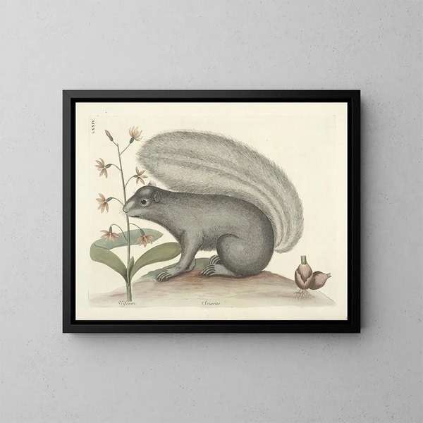 Afbeeldingen van vissen, slangen, insecten en andere dieren evenals van bepaalde planten Pl074 - Mark Catesby — ingelijst kunstwerk aan de muur