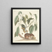 van Poissons, serpents, insectes et quelques autres animaux, ainsi que quelques photos de plantes Pl075 - Mark Catesby — ingelijst kunstwerk aan de muur