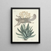 van Poissons, serpents, insectes et quelques autres animaux, ainsi que quelques photos de plantes Pl077 - Mark Catesby — ingelijst kunstwerk aan de muur