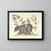 Afbeeldingen van vissen, slangen, insecten en andere dieren evenals bepaalde planten Pl079 - Mark Catesby — ingelijst kunstwerk aan de muur