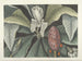 Afbeeldingen van vissen, slangen, insecten en andere dieren evenals bepaalde planten Pl080 - Mark Catesby — weergave van het kunstwerk