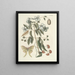 van Poissons, serpents, insectes et quelques autres animaux, ainsi que quelques images de plantes Pl084 - Mark Catesby — ingelijst kunstwerk aan de muur