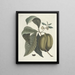 van Poissons, serpents, insectes et quelques autres animaux, ainsi que quelques photos de plantes Pl085 - Mark Catesby — ingelijst kunstwerk aan de muur