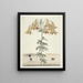 van Poissons, serpents, insectes et quelques autres animaux, ainsi que quelques photos de plantes Pl106 - Mark Catesby — ingelijst kunstwerk aan de muur