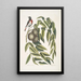 Ruticilla Americana Le Paruline à Gorge Rouge Juglans Nigra Le Noyer Noir - Mark Catesby — ingelijst kunstwerk aan de muur