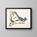 Smilax lisse, laurier à feuilles non dentées, baies noires, le Smilax à feuilles de laurier, Pica cristata carulea, le Geai huppé bleu - Mark Catesby — ingelijst kunstwerk aan de muur
