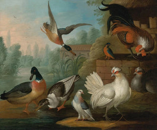Marmaduke Cradock - Still Life With Cockerels Ducks A Kingfisher And A Pigeon In A River Landscape.webp