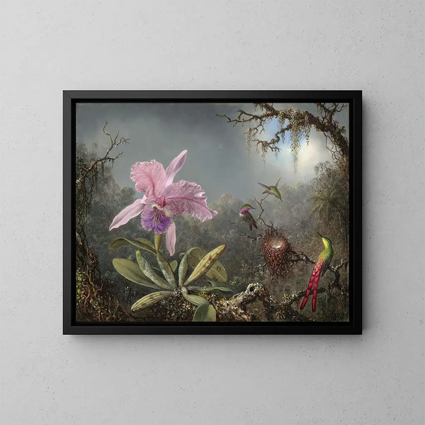 Orchidee Cattleya en drie kolibries - Martin Johnson Heade — ingelijst kunstwerk aan de muur