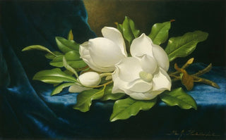 Martin Johnson Heade - Giant Magnolias on a Blue Velvet Cloth.webp