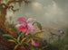 Orchideeën en kolibries - Martin Johnson Heade — weergave van het kunstwerk