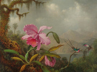 Martin Johnson Heade - Orchids And Hummingbirds.webp