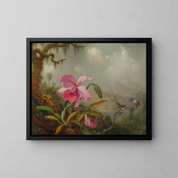 Orchideeën en kolibries - Martin Johnson Heade — ingelijst kunstwerk aan de muur