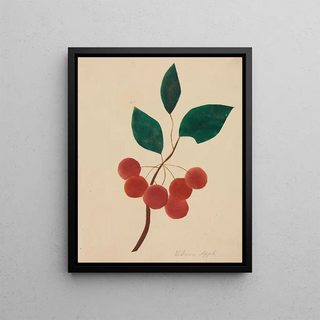 Mary Altha Nims - Siberian Apple.webp