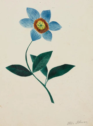 Mary Altha Nims - Star Flower.webp