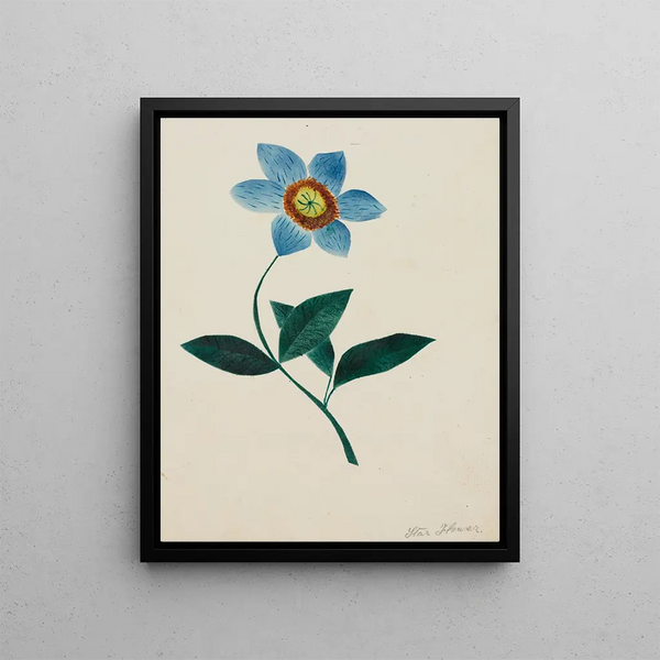 Mary Altha Nims - Star Flower.webp