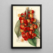 Prunus avium Royal Anne - Mary Daisy Arnold — ingelijst kunstwerk aan de muur
