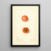 Prunus mume Barry - Mary Daisy Arnold — ingelijst kunstwerk aan de muur