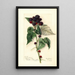 Rubus Perle Noire - Mary Daisy Arnold — ingelijst kunstwerk aan de muur